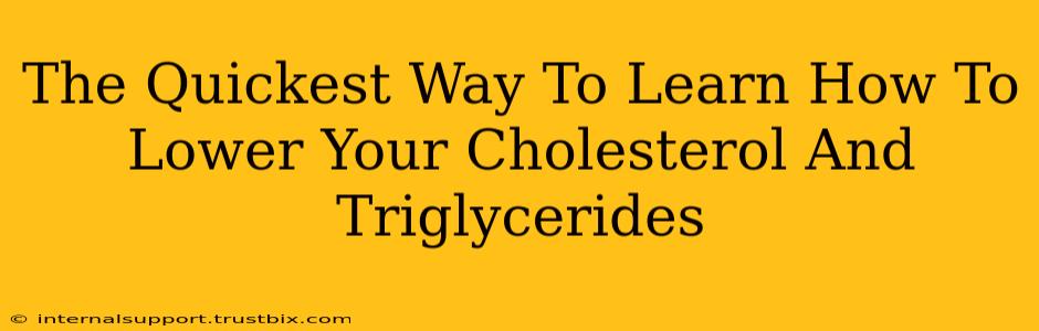 The Quickest Way To Learn How To Lower Your Cholesterol And Triglycerides