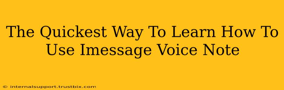 The Quickest Way To Learn How To Use Imessage Voice Note