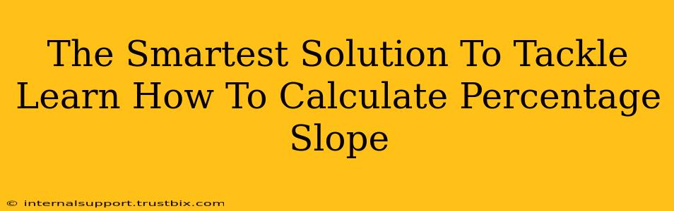 The Smartest Solution To Tackle Learn How To Calculate Percentage Slope