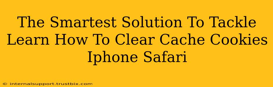 The Smartest Solution To Tackle Learn How To Clear Cache Cookies Iphone Safari