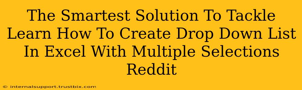 The Smartest Solution To Tackle Learn How To Create Drop Down List In Excel With Multiple Selections Reddit