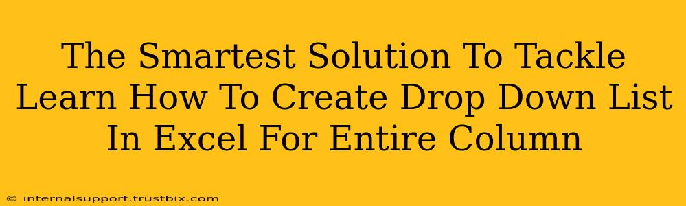 The Smartest Solution To Tackle Learn How To Create Drop Down List In Excel For Entire Column