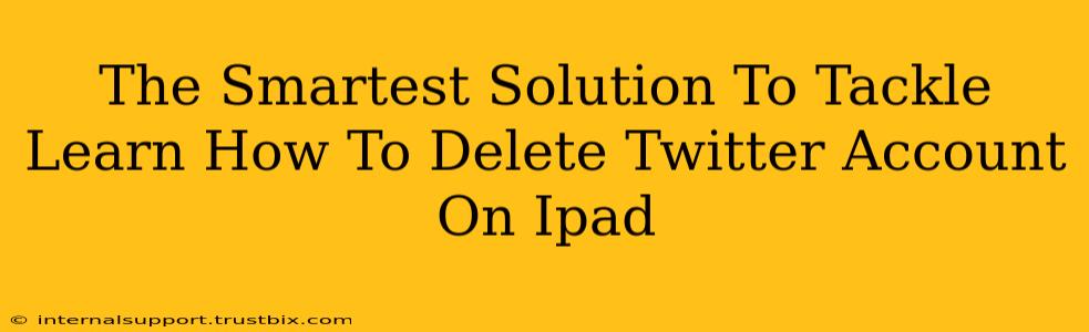 The Smartest Solution To Tackle Learn How To Delete Twitter Account On Ipad