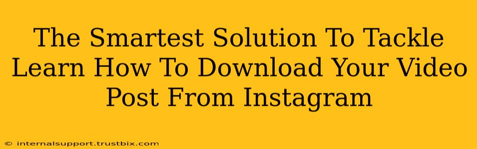 The Smartest Solution To Tackle Learn How To Download Your Video Post From Instagram