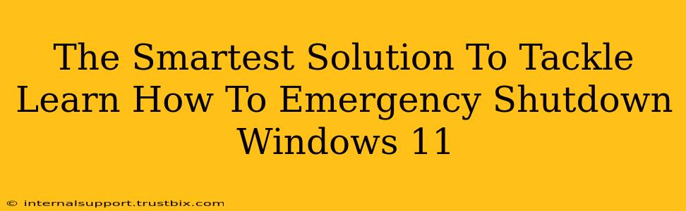 The Smartest Solution To Tackle Learn How To Emergency Shutdown Windows 11