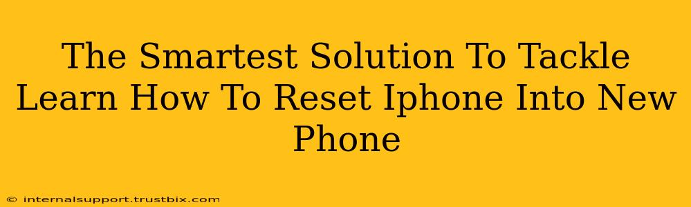 The Smartest Solution To Tackle Learn How To Reset Iphone Into New Phone