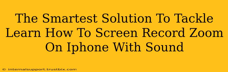 The Smartest Solution To Tackle Learn How To Screen Record Zoom On Iphone With Sound