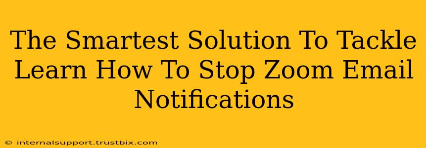 The Smartest Solution To Tackle Learn How To Stop Zoom Email Notifications