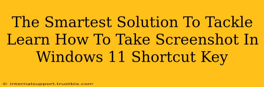 The Smartest Solution To Tackle Learn How To Take Screenshot In Windows 11 Shortcut Key