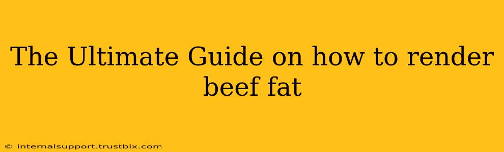 The Ultimate Guide on how to render beef fat