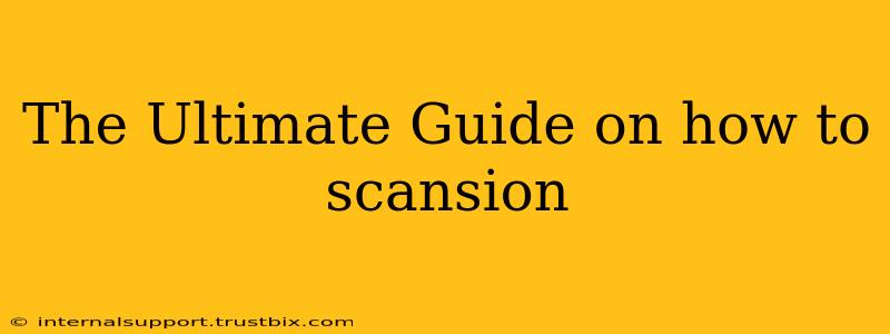 The Ultimate Guide on how to scansion