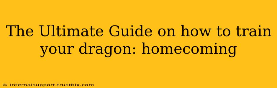 The Ultimate Guide on how to train your dragon: homecoming