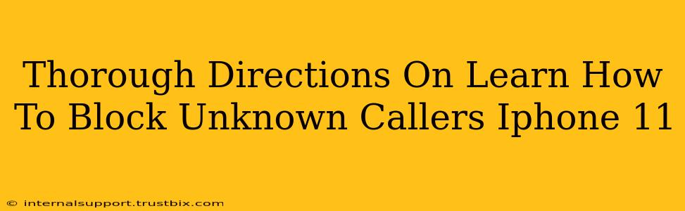 Thorough Directions On Learn How To Block Unknown Callers Iphone 11