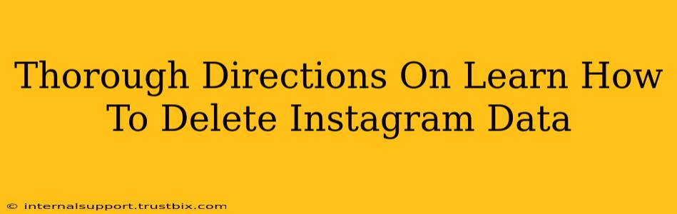 Thorough Directions On Learn How To Delete Instagram Data