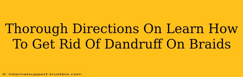 Thorough Directions On Learn How To Get Rid Of Dandruff On Braids