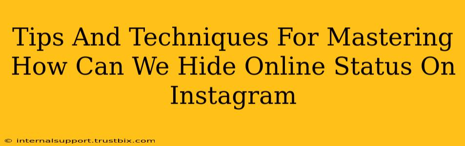 Tips And Techniques For Mastering How Can We Hide Online Status On Instagram