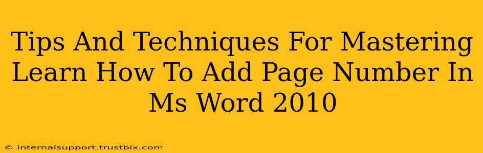 Tips And Techniques For Mastering Learn How To Add Page Number In Ms Word 2010