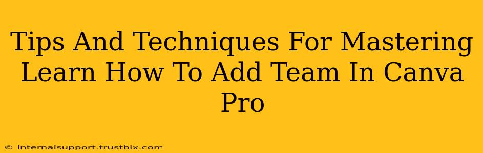 Tips And Techniques For Mastering Learn How To Add Team In Canva Pro