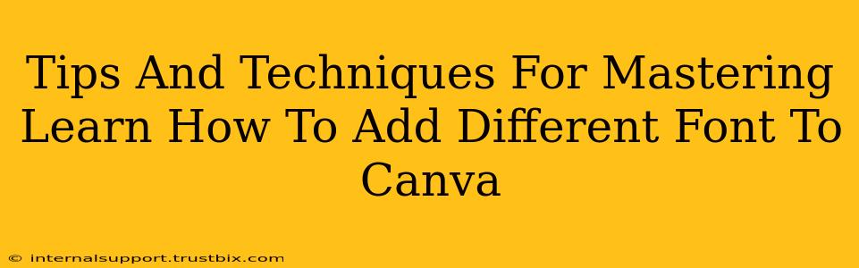 Tips And Techniques For Mastering Learn How To Add Different Font To Canva