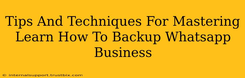 Tips And Techniques For Mastering Learn How To Backup Whatsapp Business