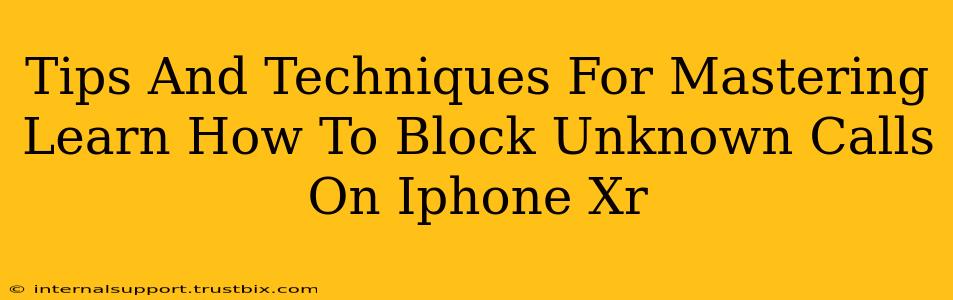 Tips And Techniques For Mastering Learn How To Block Unknown Calls On Iphone Xr