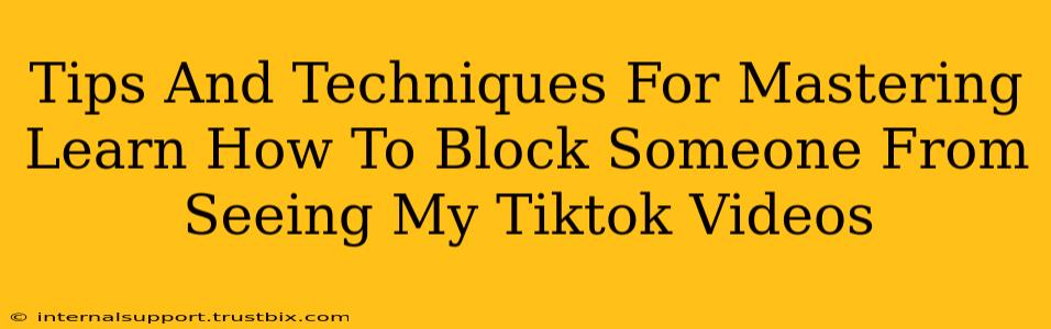 Tips And Techniques For Mastering Learn How To Block Someone From Seeing My Tiktok Videos