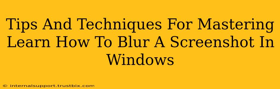 Tips And Techniques For Mastering Learn How To Blur A Screenshot In Windows