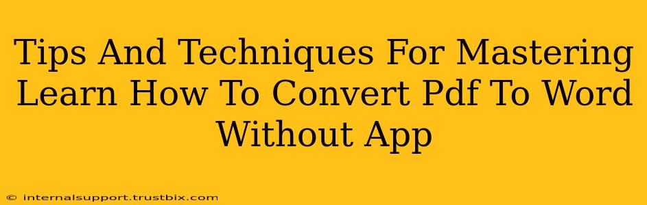 Tips And Techniques For Mastering Learn How To Convert Pdf To Word Without App