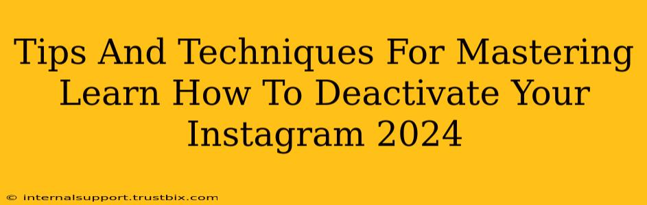 Tips And Techniques For Mastering Learn How To Deactivate Your Instagram 2024