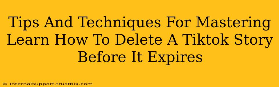 Tips And Techniques For Mastering Learn How To Delete A Tiktok Story Before It Expires