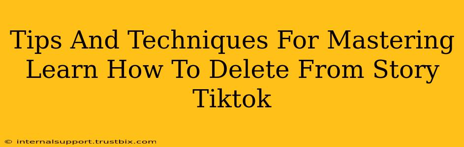 Tips And Techniques For Mastering Learn How To Delete From Story Tiktok