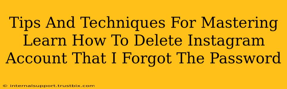 Tips And Techniques For Mastering Learn How To Delete Instagram Account That I Forgot The Password