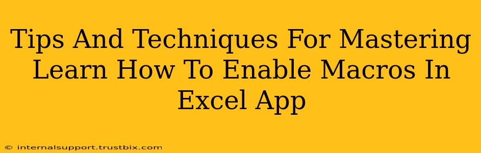 Tips And Techniques For Mastering Learn How To Enable Macros In Excel App