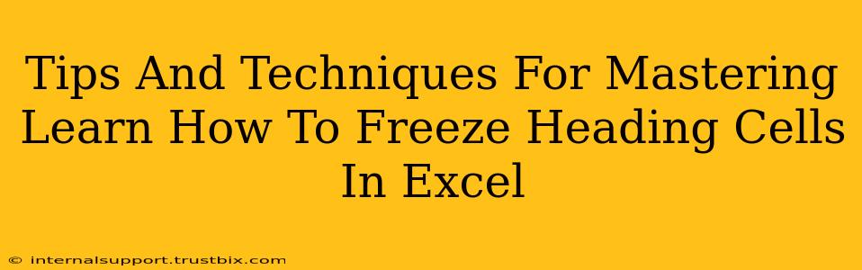 Tips And Techniques For Mastering Learn How To Freeze Heading Cells In Excel