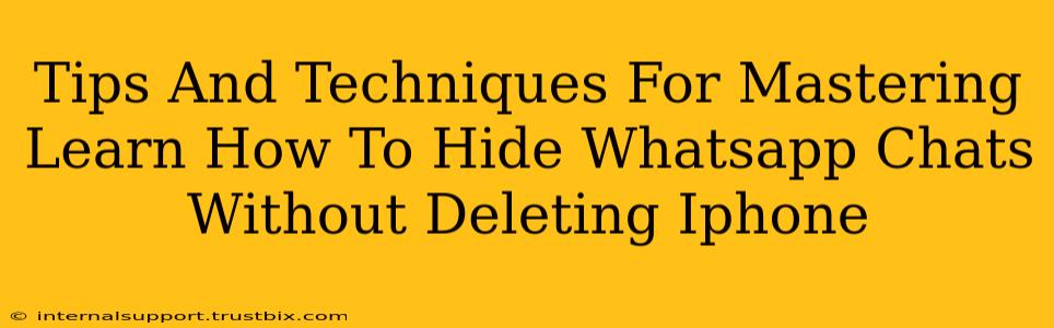 Tips And Techniques For Mastering Learn How To Hide Whatsapp Chats Without Deleting Iphone