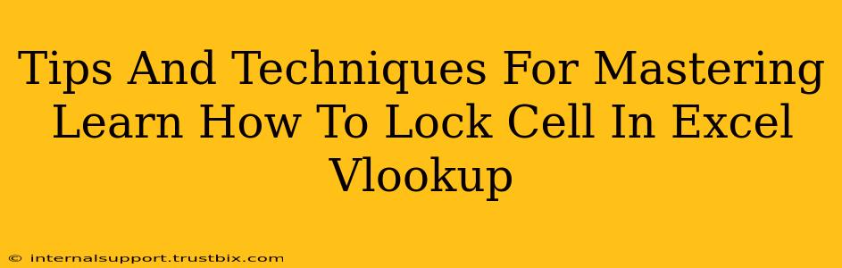 Tips And Techniques For Mastering Learn How To Lock Cell In Excel Vlookup