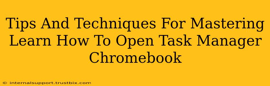 Tips And Techniques For Mastering Learn How To Open Task Manager Chromebook