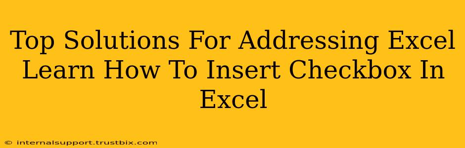 Top Solutions For Addressing Excel Learn How To Insert Checkbox In Excel