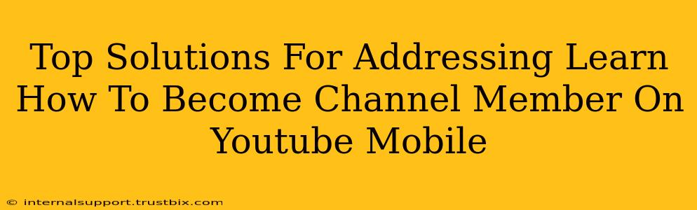 Top Solutions For Addressing Learn How To Become Channel Member On Youtube Mobile