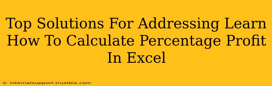 Top Solutions For Addressing Learn How To Calculate Percentage Profit In Excel