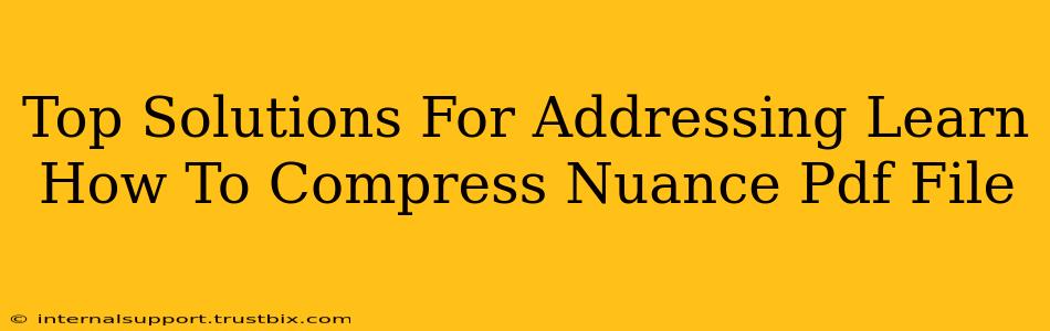 Top Solutions For Addressing Learn How To Compress Nuance Pdf File