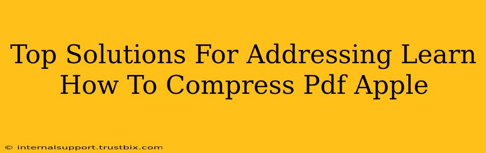 Top Solutions For Addressing Learn How To Compress Pdf Apple