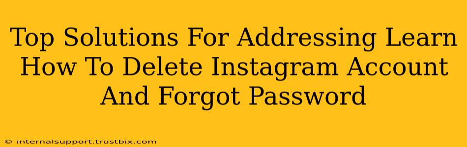 Top Solutions For Addressing Learn How To Delete Instagram Account And Forgot Password