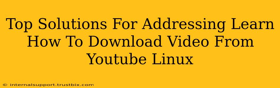 Top Solutions For Addressing Learn How To Download Video From Youtube Linux