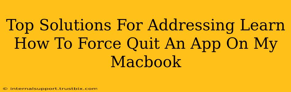 Top Solutions For Addressing Learn How To Force Quit An App On My Macbook