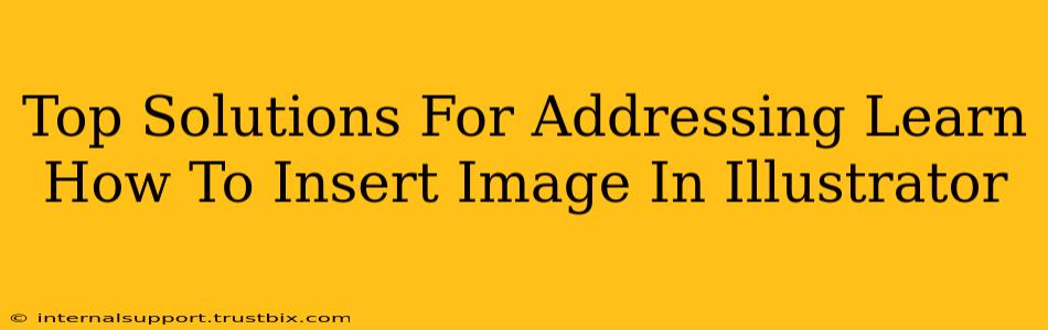 Top Solutions For Addressing Learn How To Insert Image In Illustrator