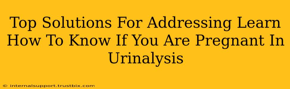 Top Solutions For Addressing Learn How To Know If You Are Pregnant In Urinalysis