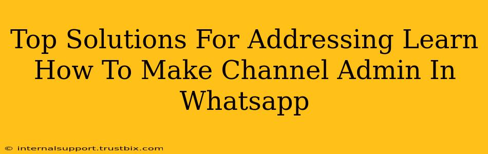 Top Solutions For Addressing Learn How To Make Channel Admin In Whatsapp