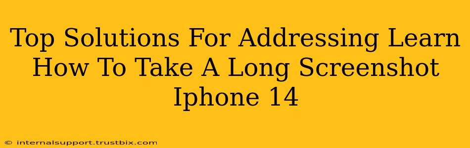 Top Solutions For Addressing Learn How To Take A Long Screenshot Iphone 14