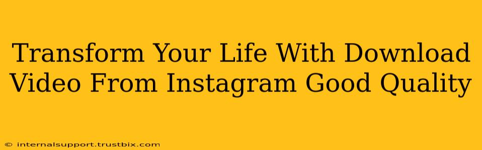 Transform Your Life With Download Video From Instagram Good Quality